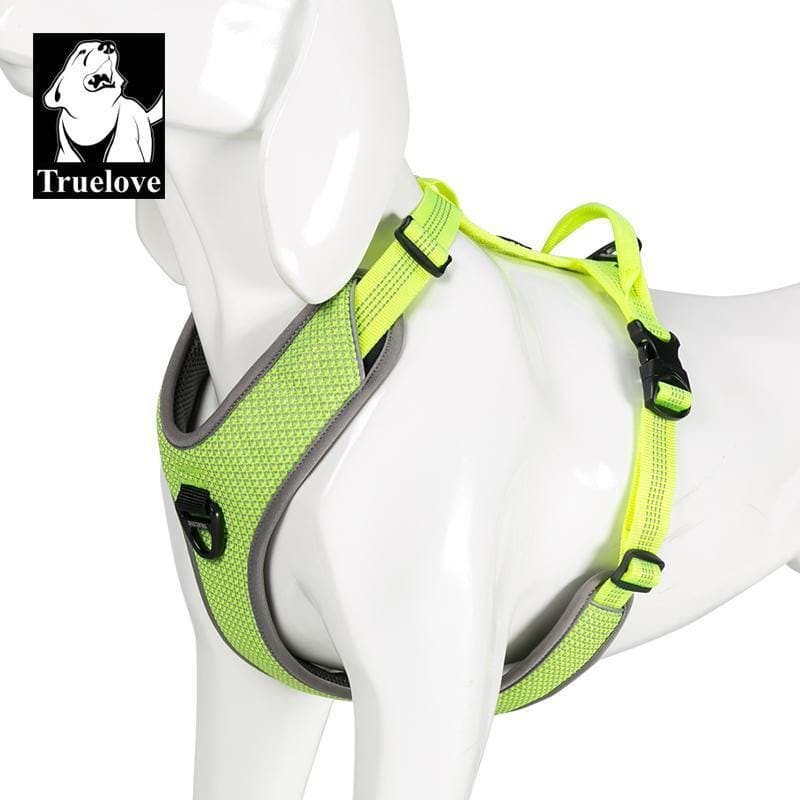 arnes-truelove-TLH6071-amarillo2