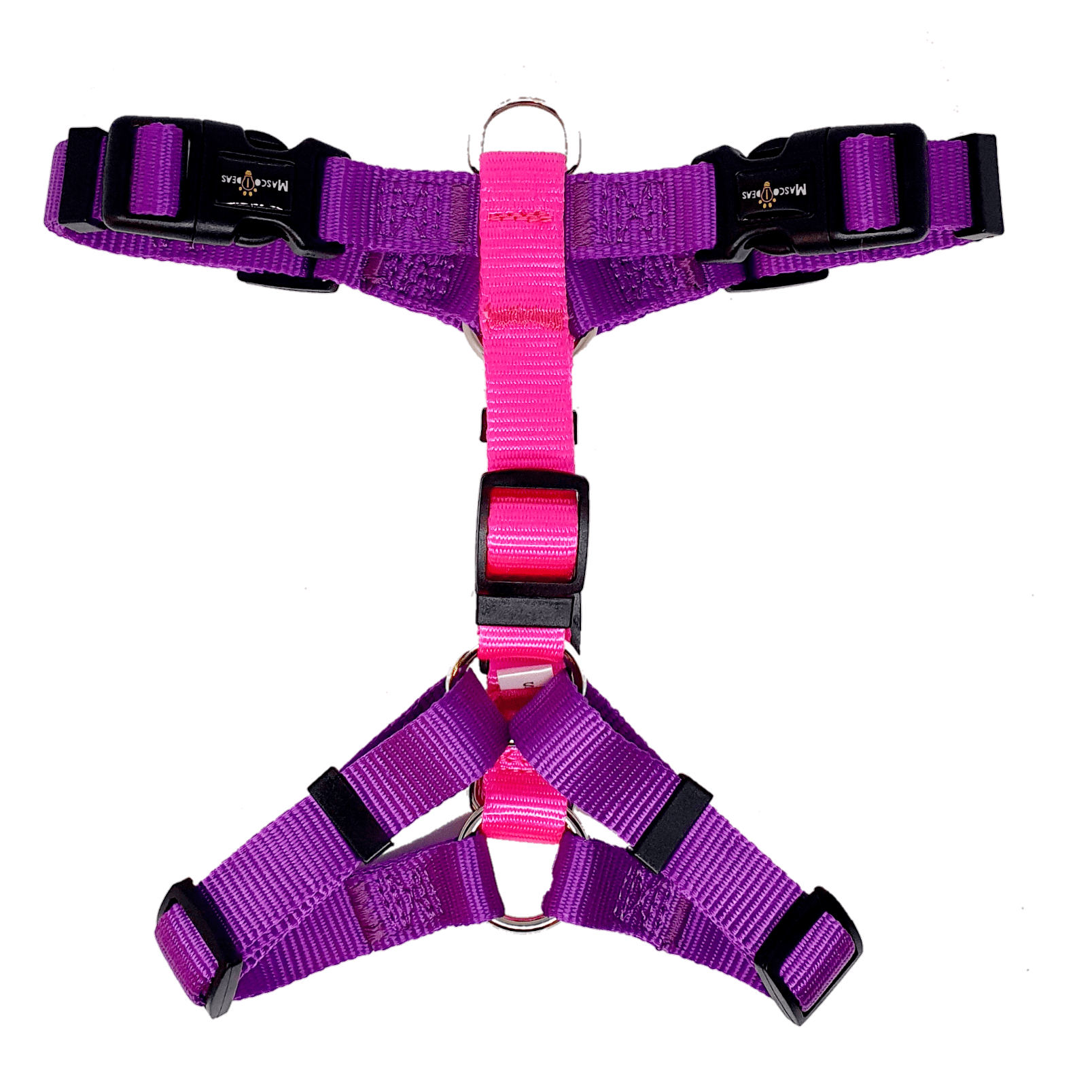 arnes mascoideas morado s
