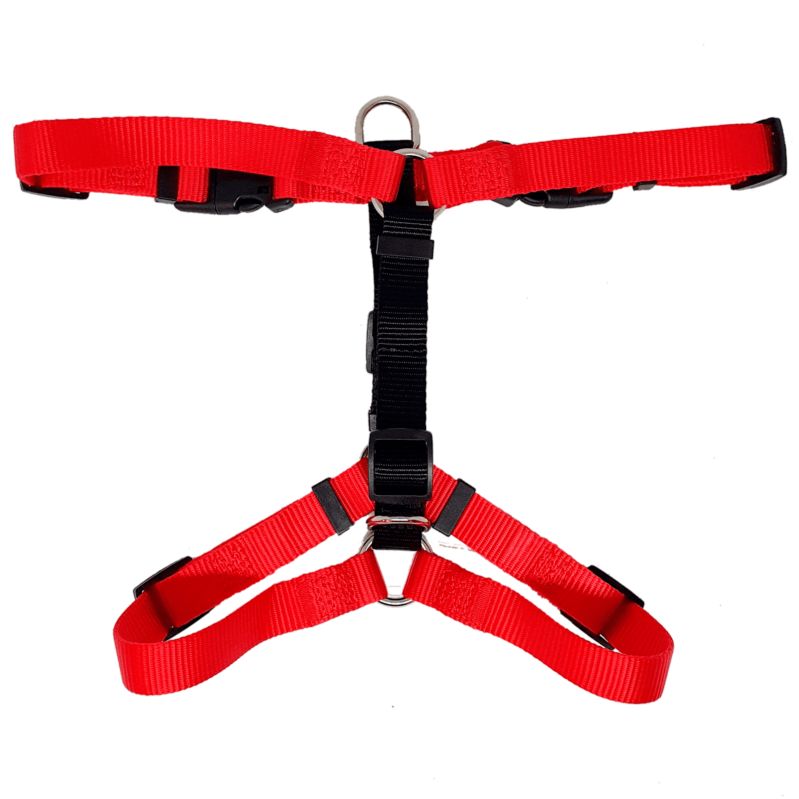 arnes mascoideas rojo M2