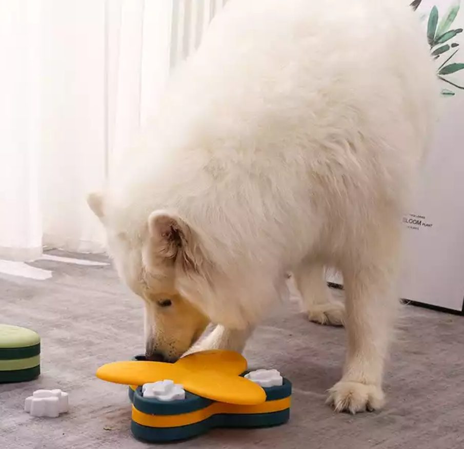 Pet Tornado Mascoideas